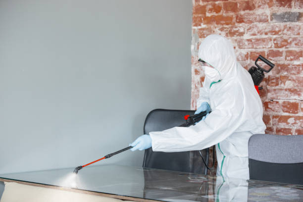 Trusted Lake Caroline, VA Mold Removal & Remediation Experts